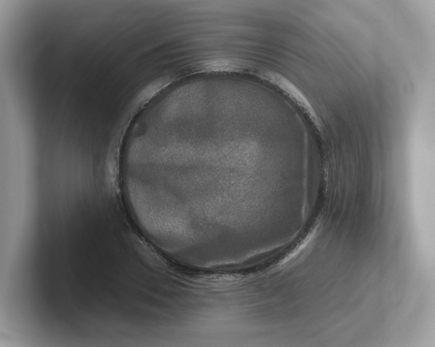 X0000101410930200807211052