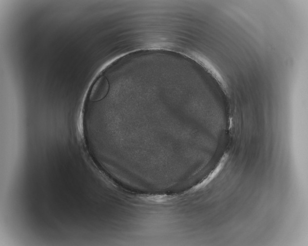 X0000101410932200807211052