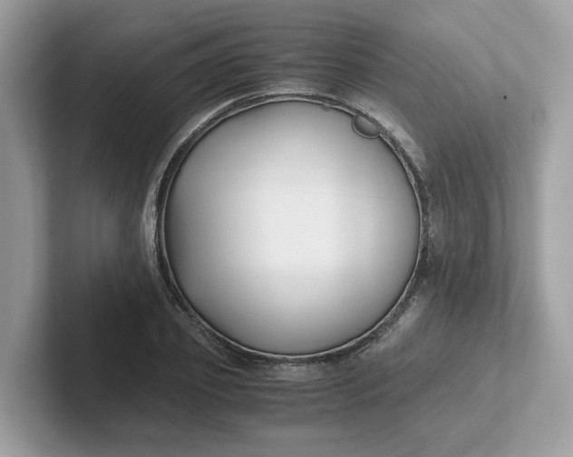 X0000101410933200807211052