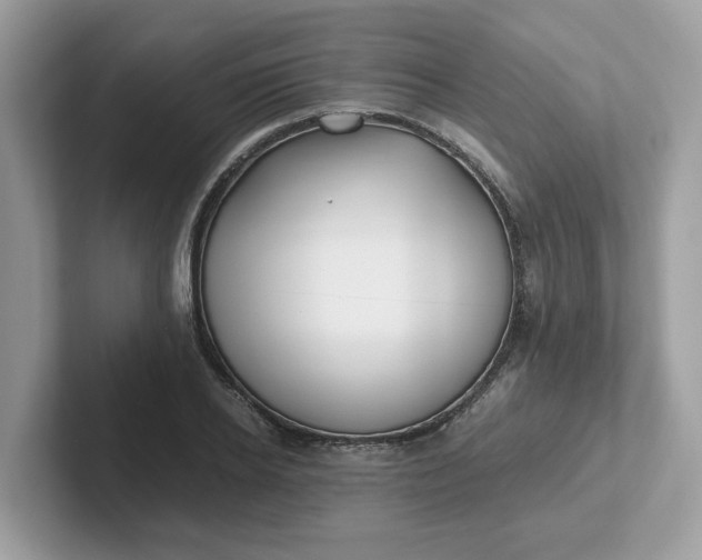 X0000101410934200807211052