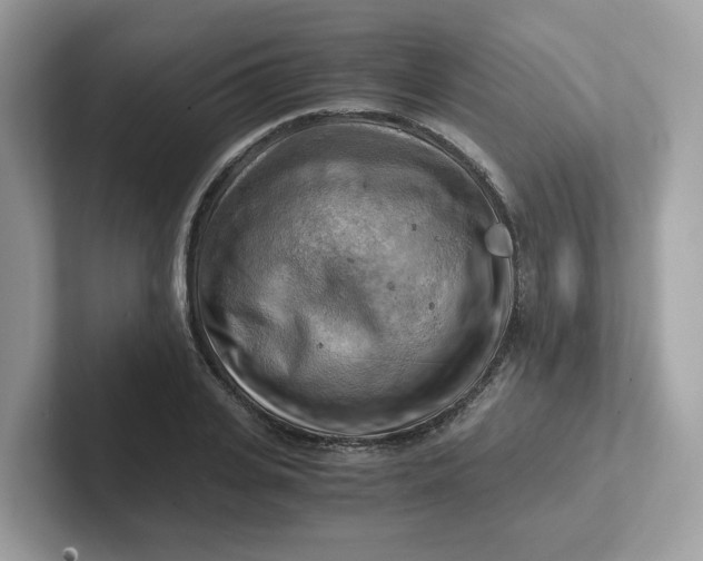 X0000101410935200807211052