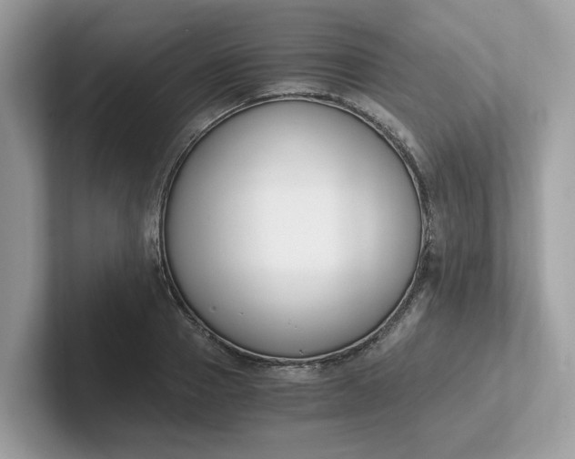 X0000101410937200807211052