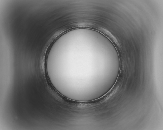 X0000101410938200807211052