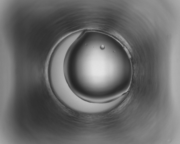 X0000101410939200807211052