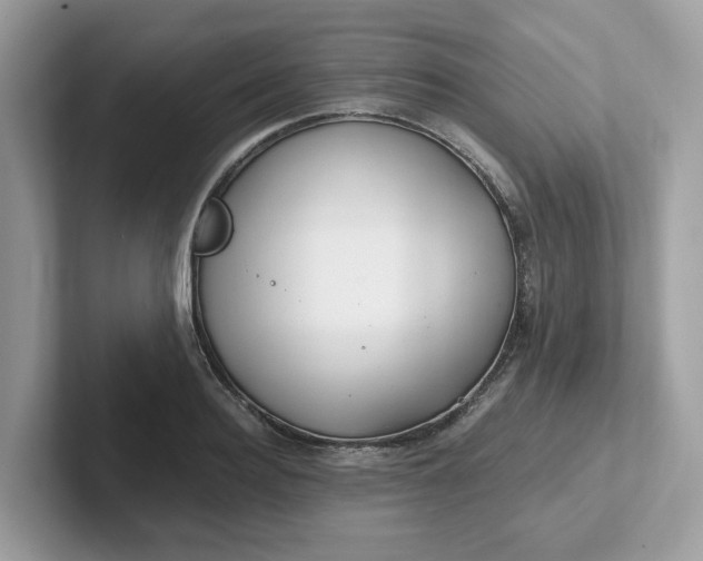 X0000101410940200807211052