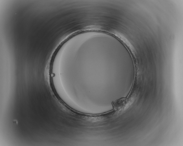 X0000101410941200807211052