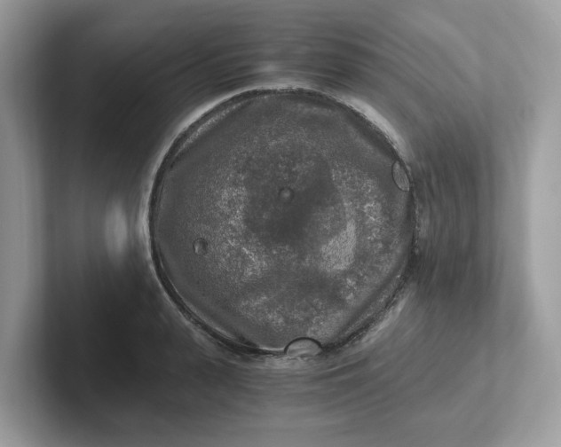 X0000101410943200807211052