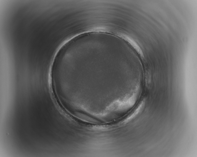 X0000101410944200807211052