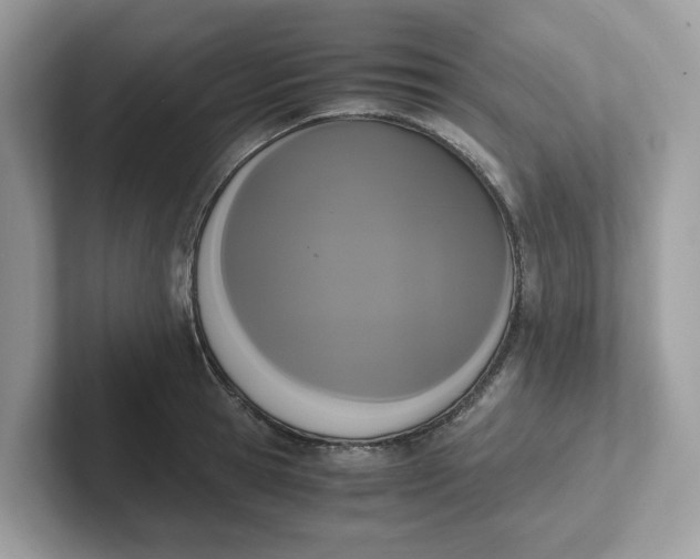 X0000101410945200807211052