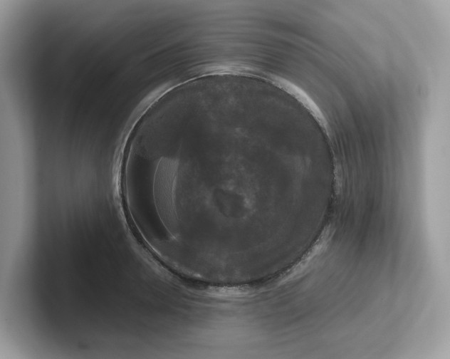 X0000101410946200807211052