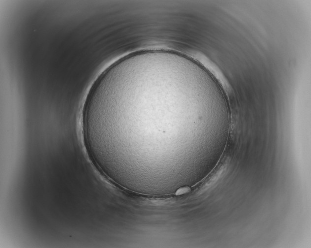 X0000101410951200807211053