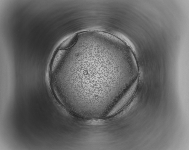 X0000101410952200807211053