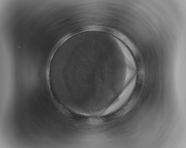 X0000101410954200807211053