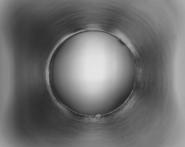 X0000101410955200807211053