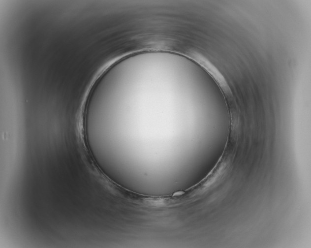 X0000101410956200807211053