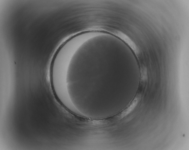 X0000101410958200807211053