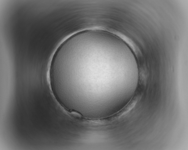 X0000101410959200807211053