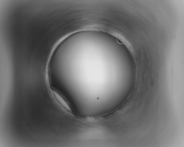 X0000101410960200807211053