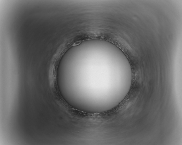 X0000101410961200807211052