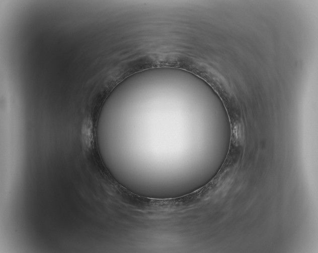 X0000101410963200807211052