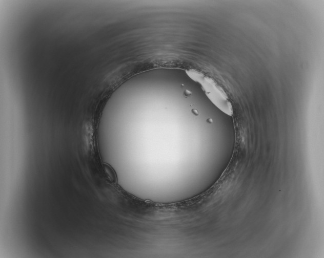 X0000101410964200807211052