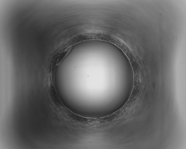 X0000101410965200807211052