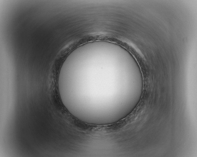 X0000101410967200807211052