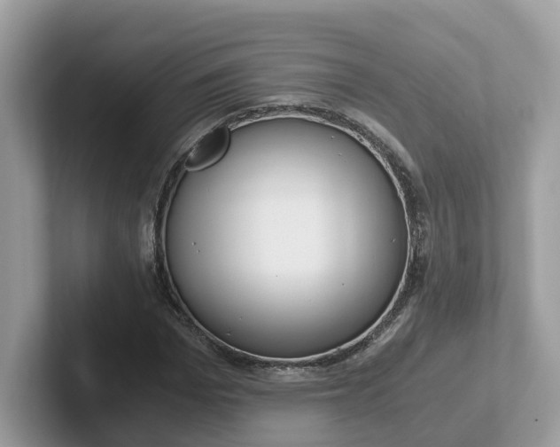 X0000101410969200807211052