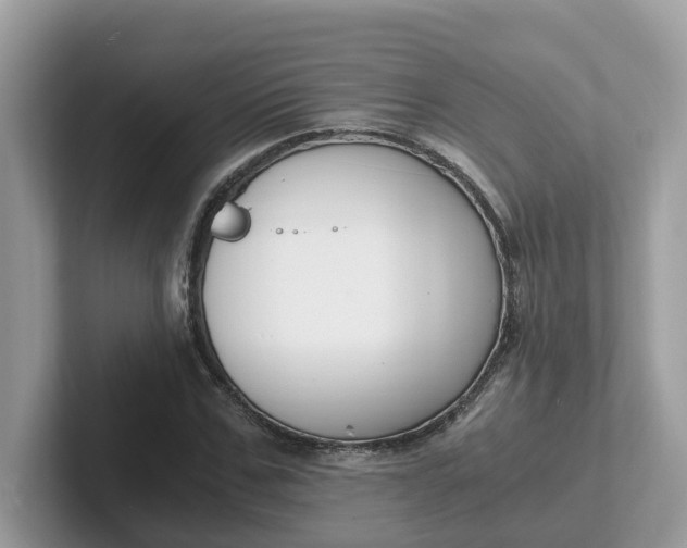 X0000101410971200807211052