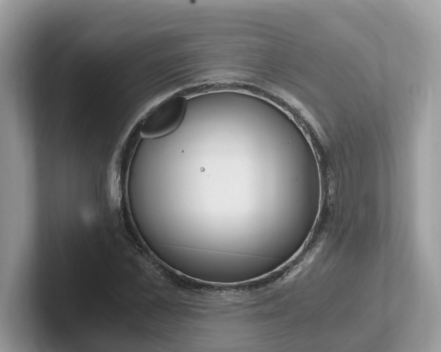 X0000101410973200807211052