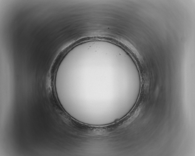 X0000101410974200807211052