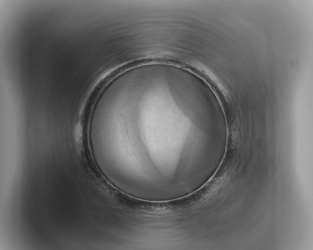 X0000101410975200807211052