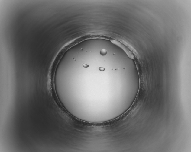 X0000101410976200807211052