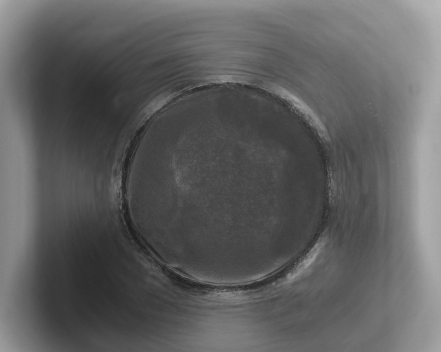 X0000101410977200807211052