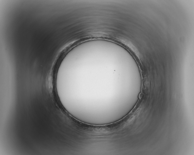 X0000101410979200807211052