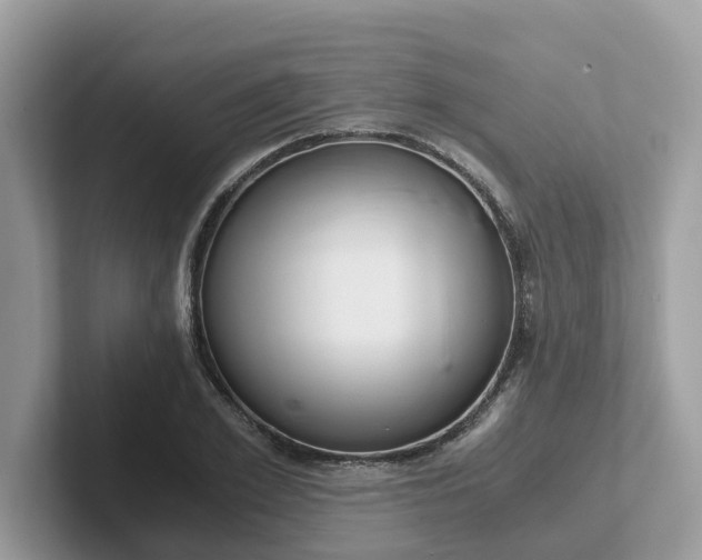 X0000101410981200807211052