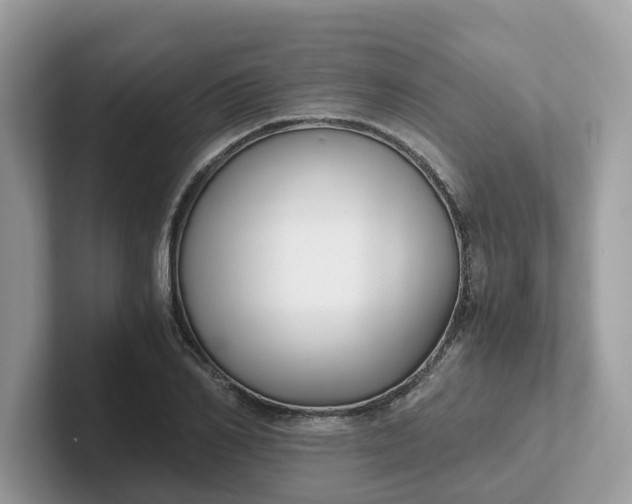 X0000101410982200807211052