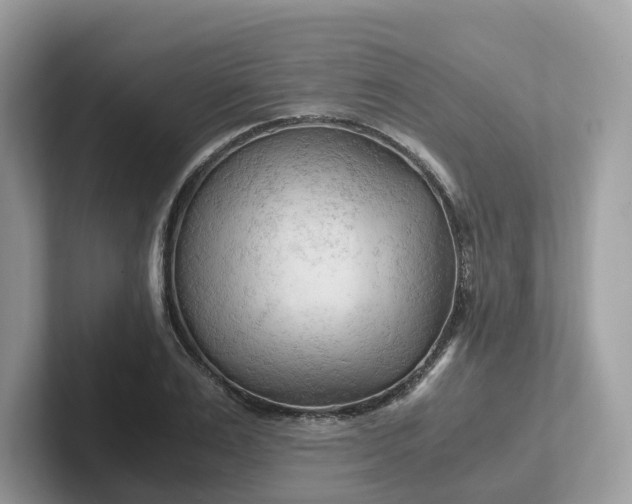 X0000101410983200807211052