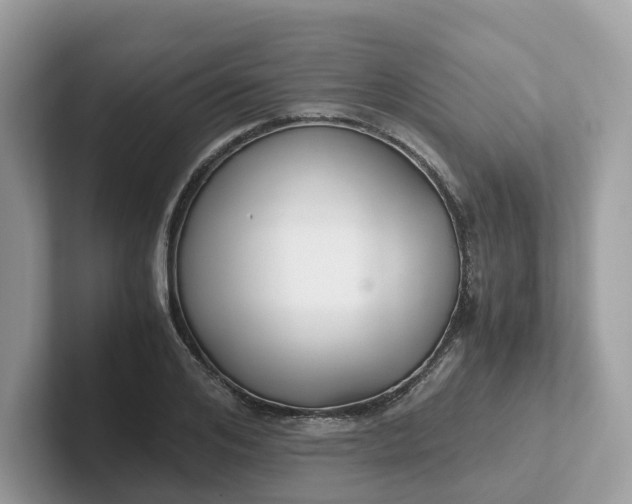 X0000101410984200807211052