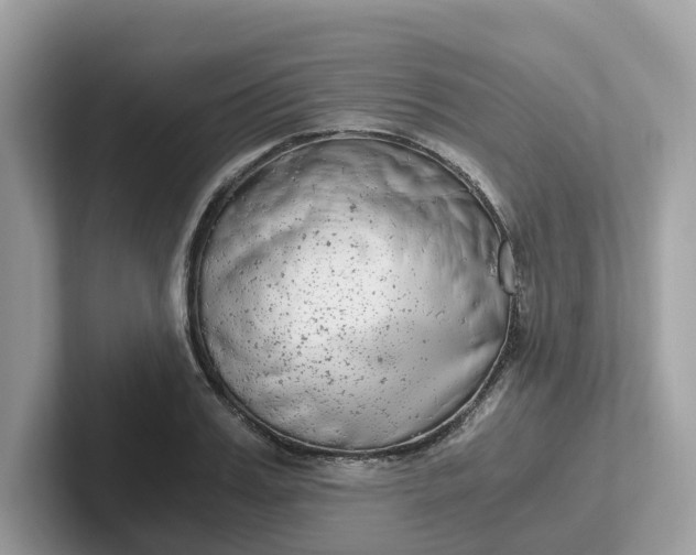 X0000101410987200807211052