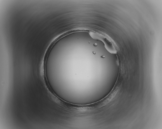 X0000101410988200807211052