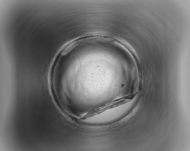 X0000101410989200807211052