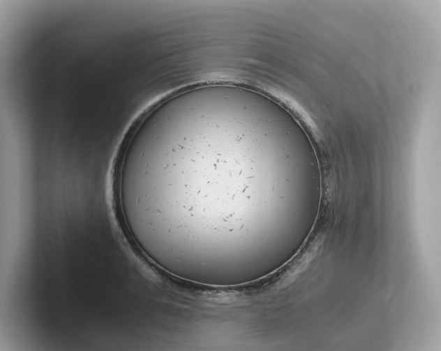 X0000101410991200807211052