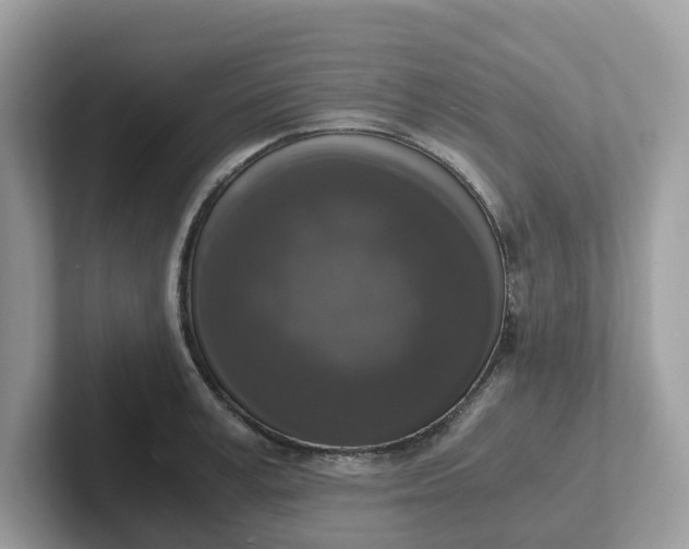 X0000101410995200807211052