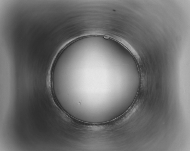 X0000101410996200807211051