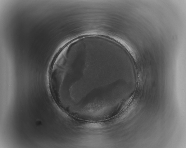 X0000101410998200807211051