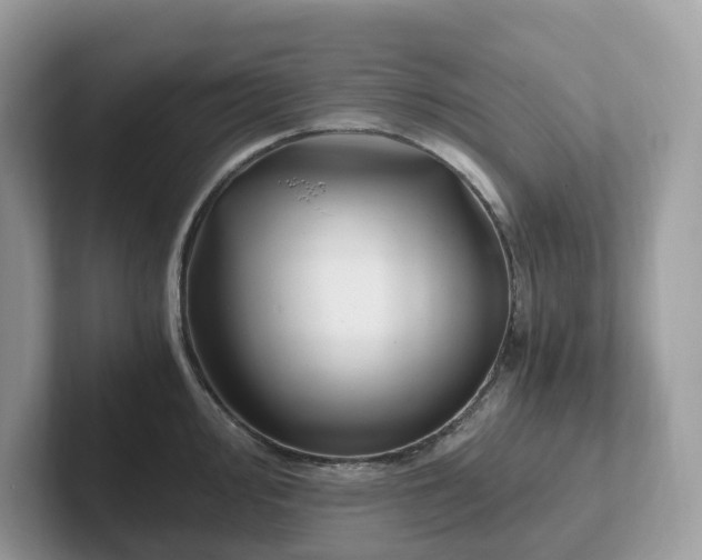 X0000101411000200807211051