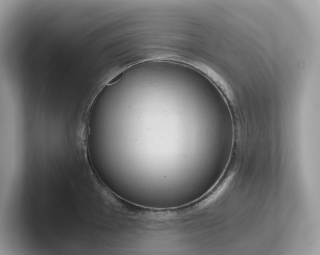 X0000101411001200807211051