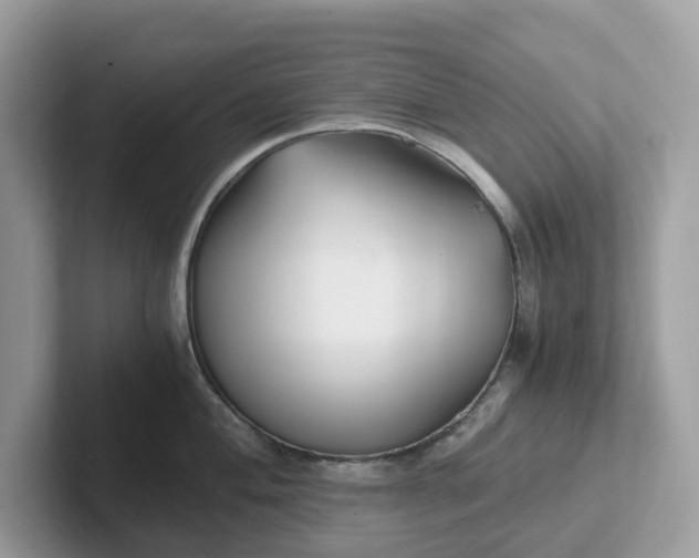 X0000101411004200807211051