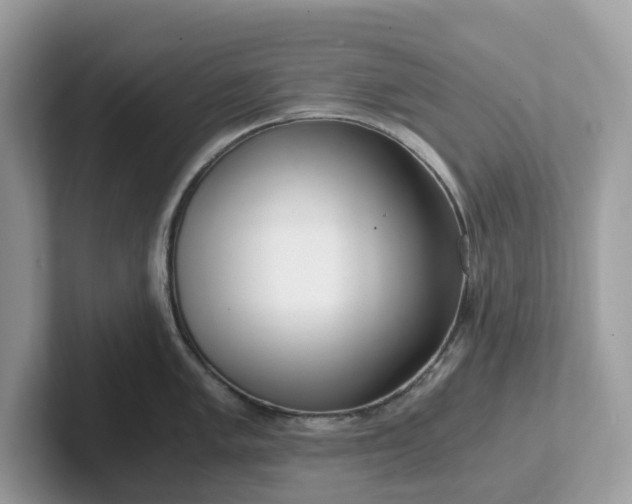 X0000101411005200807211051